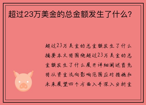 超过23万美金的总金额发生了什么？