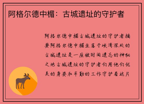 阿格尔德中楣：古城遗址的守护者